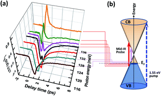 Graphical abstract: Dirac fermion relaxation and energy loss rate near the Fermi surface in monolayer and multilayer graphene