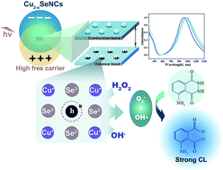 Graphical abstract: Controllable copper deficiency in Cu2−xSe nanocrystals with tunable localized surface plasmon resonance and enhanced chemiluminescence