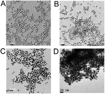 Graphical abstract: Direct chemical synthesis of L10-FePtAu nanoparticles with high coercivity