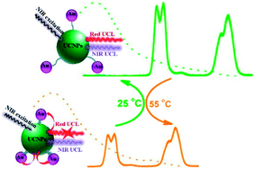 Graphical abstract: Rational design of a thermalresponsive-polymer-switchable FRET system for enhancing the temperature sensitivity of upconversion nanophosphors