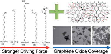 Graphical abstract: Driving forces for the self-assembly of graphene oxide on organic monolayers