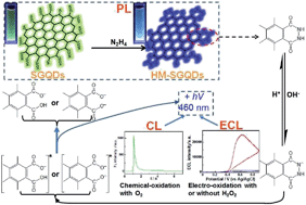 Graphical abstract: Photoluminescence, chemiluminescence and anodic electrochemiluminescence of hydrazide-modified graphene quantum dots