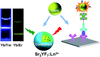 Graphical abstract: Lanthanide-doped Sr2YF7 nanoparticles: controlled synthesis, optical spectroscopy and biodetection