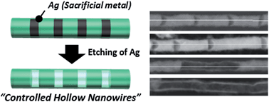 Graphical abstract: Design and fabrication of Ni nanowires having periodically hollow nanostructures