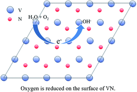 Graphical abstract: Hydrothermal synthesis of vanadium nitride and modulation of its catalytic performance for oxygen reduction reaction
