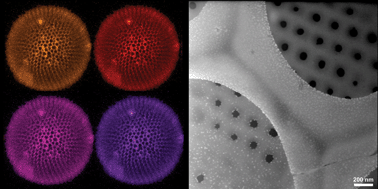 Graphical abstract: Directed assembly of nanoparticles to isolated diatom valves using the non-wetting characteristics after pyrolysis