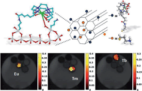 Graphical abstract: MRI nanoprobes based on chemical exchange saturation transfer: LnIII chelates anchored on the surface of mesoporous silica nanoparticles