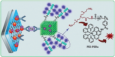 Graphical abstract: A super intramolecular self-enhanced electrochemiluminescence immunosensor based on polymer chains grafted on palladium nanocages