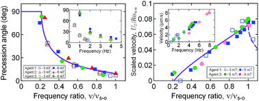 Graphical abstract: Dynamics and polarization of superparamagnetic chiral nanomotors in a rotating magnetic field