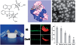 Graphical abstract: Enhanced antitumor activity and mechanism of biodegradable polymeric micelles-encapsulated chetomin in both transgenic zebrafish and mouse models