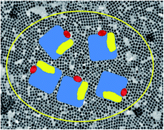 Graphical abstract: Self-regulated route to ternary hybrid nanocrystals of Ag–Ag2S–CdS with near-infrared photoluminescence and enhanced photothermal conversion