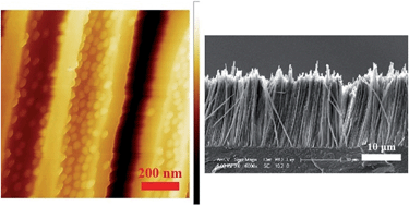 Graphical abstract: The role of a nanoparticle monolayer on the flow of polymer melts in nanochannels