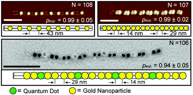 Graphical abstract: High precision and high yield fabrication of dense nanoparticle arrays onto DNA origami at statistically independent binding sites