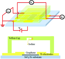 Graphical abstract: Semimetallic-to-metallic transition and mobility enhancement enabled by reversible iodine doping of graphene