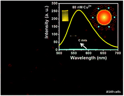 Graphical abstract: Carbon nanodots prepared from o-phenylenediamine for sensing of Cu2+ ions in cells