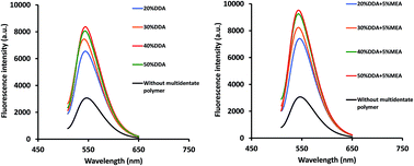 Graphical abstract: Fabrication of bright and small size semiconducting polymer nanoparticles for cellular labelling and single particle tracking