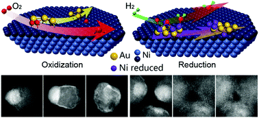 Graphical abstract: Structural evolution of NiAu nanoparticles under ambient conditions directly revealed by atom-resolved imaging combined with DFT simulation