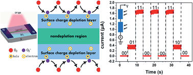 Graphical abstract: Ultrafast, superhigh gain visible-blind UV detector and optical logic gates based on nonpolar a-axial GaN nanowire