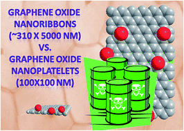 Graphical abstract: Graphene oxide nanoribbons exhibit significantly greater toxicity than graphene oxide nanoplatelets
