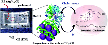 Graphical abstract: A surface functionalized nanoporous titania integrated microfluidic biochip