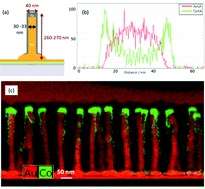 Graphical abstract: Optical and magneto-optical properties of gold core cobalt shell magnetoplasmonic nanowire arrays