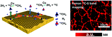Graphical abstract: Raman spectroscopic investigation of polycrystalline structures of CVD-grown graphene by isotope labeling