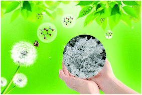 Graphical abstract: A novel strategy to synthesize hierarchical, porous carbohydrate-derived carbon with tunable properties