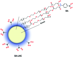 Graphical abstract: Boronic acid-modified lipid nanocapsules: a novel platform for the highly efficient inhibition of hepatitis C viral entry