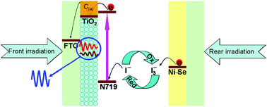 Graphical abstract: Transparent nickel selenide alloy counter electrodes for bifacial dye-sensitized solar cells exceeding 10% efficiency