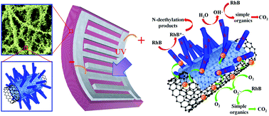 Graphical abstract: Flexible, thorn-like ZnO-multiwalled carbon nanotube hybrid paper for efficient ultraviolet sensing and photocatalyst applications
