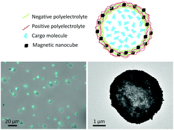 Graphical abstract: Magnetically triggered release of molecular cargo from iron oxide nanoparticle loaded microcapsules