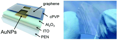 Graphical abstract: Graphene nano-floating gate transistor memory on plastic