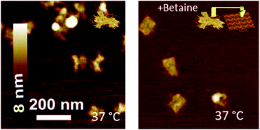 Graphical abstract: Isothermal DNA origami folding: avoiding denaturing conditions for one-pot, hybrid-component annealing