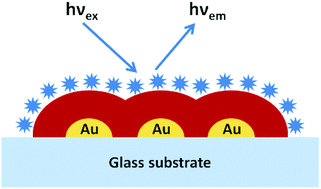 Graphical abstract: Distance-dependent fluorescence of tris(bipyridine)ruthenium(ii) on supported plasmonic gold nanoparticle ensembles