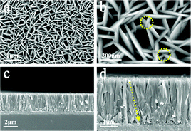 Graphical abstract: {116} faceted anatase single-crystalline nanosheet arrays: facile synthesis and enhanced electrochemical performances