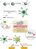 Graphical abstract: Multi-functional liposomes showing radiofrequency-triggered release and magnetic resonance imaging for tumor multi-mechanism therapy