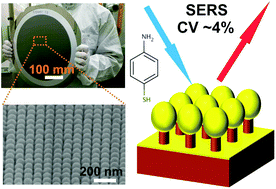 Graphical abstract: 300 mm Wafer-level, ultra-dense arrays of Au-capped nanopillars with sub-10 nm gaps as reliable SERS substrates