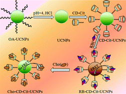 Graphical abstract: An upconversion nanocomposite for fluorescence resonance energy transfer based cholesterol-sensing in human serum