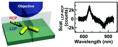 Graphical abstract: Circular dichroism from single plasmonic nanostructures with extrinsic chirality