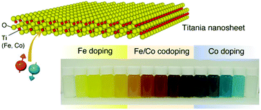 Graphical abstract: Controlled doping of semiconducting titania nanosheets for tailored spinelectronic materials