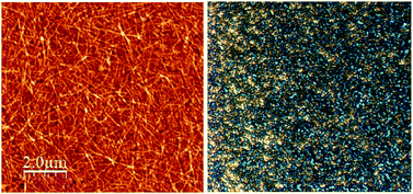 Graphical abstract: Tunable scattering from liquid crystal devices using carbon nanotubes network electrodes