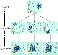 Graphical abstract: Cationic carbosilane dendrimers and oligonucleotide binding: an energetic affair