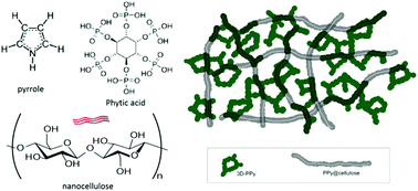 Graphical abstract: Freestanding nanocellulose-composite fibre reinforced 3D polypyrrole electrodes for energy storage applications