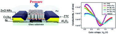 Graphical abstract: Piezoelectric coupling in a field-effect transistor with a nanohybrid channel of ZnO nanorods grown vertically on graphene