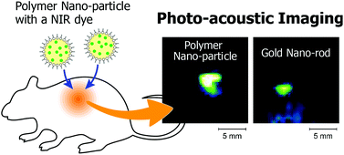 Graphical abstract: Near-infrared absorbing polymer nano-particle as a sensitive contrast agent for photo-acoustic imaging