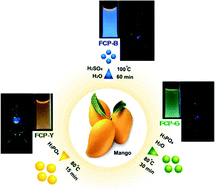 Graphical abstract: Fluorescent carbon nanoparticles derived from natural materials of mango fruit for bio-imaging probes
