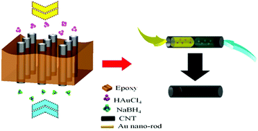 Graphical abstract: A novel method to encapsulate a Au nanorod array in 15 nm radius multiwalled carbon nanotubes