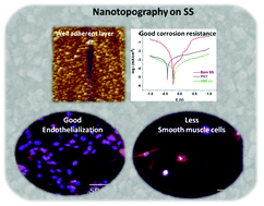Graphical abstract: Nanotextured stainless steel for improved corrosion resistance and biological response in coronary stenting