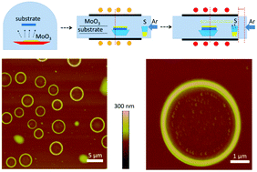 Graphical abstract: Novel micro-rings of molybdenum disulfide (MoS2)