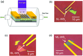 Graphical abstract: Deep-ultraviolet-light-driven reversible doping of WS2 field-effect transistors